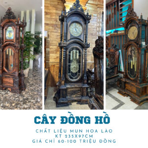 Cây Đồng Hồ